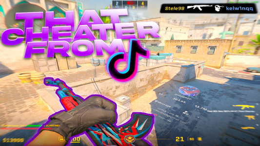 That CHEATER GUY From TikTok